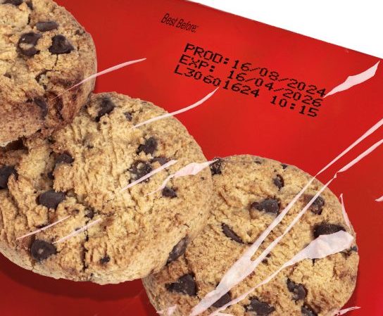 Printing on Biscuits
