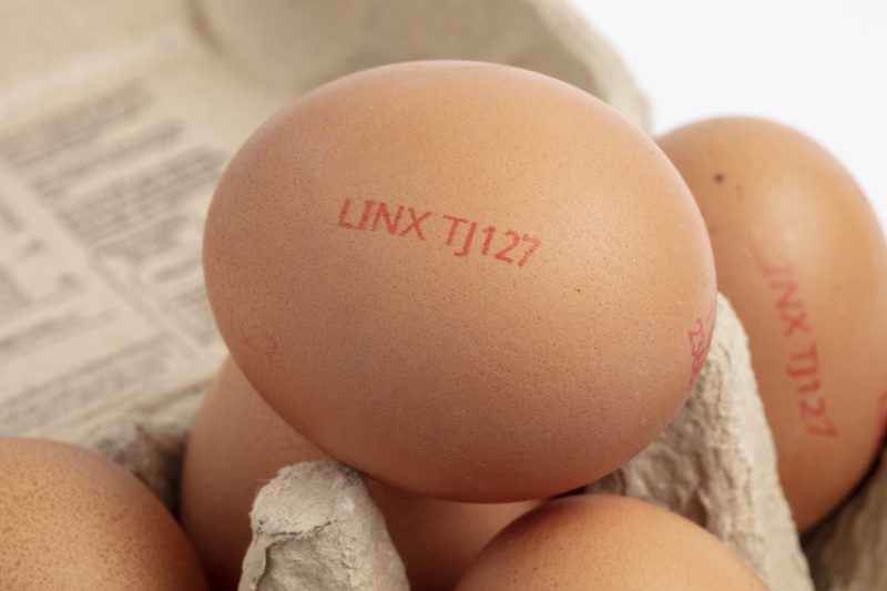 Printing on Eggs Printing on Eggs